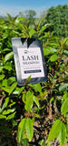 Lash Shampoo Sachet